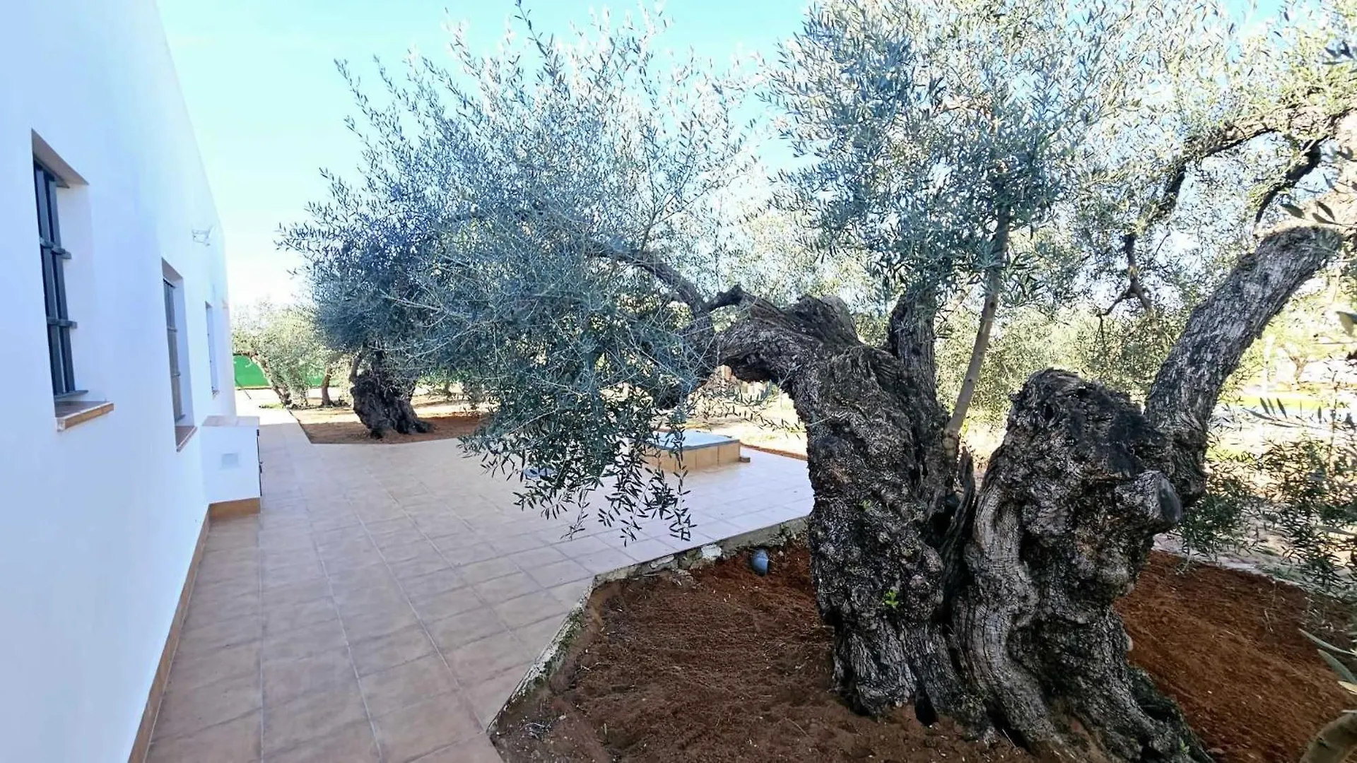 Casa Rural Olivera La Puebla de Cazalla 0*,  Spain